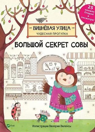 Книга. большой секрет совы