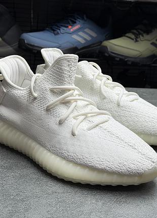 Кросівки adidas yeezy cp9366