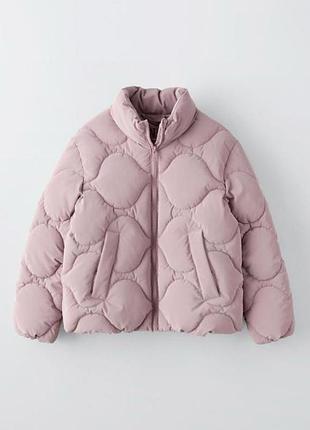 Світло-рожева стьобана куртка  zara (102)