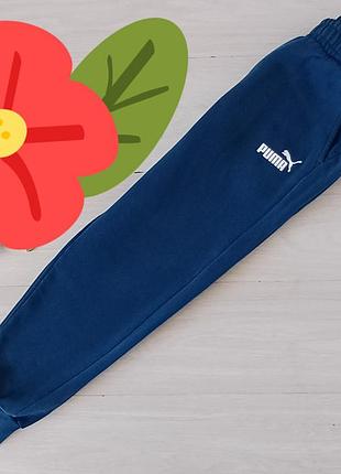 Мужские  спортивные штаны  puma