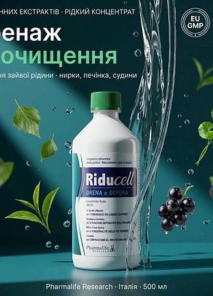Напій дренаж для схуднення, 500мл, очищення організму від набряків