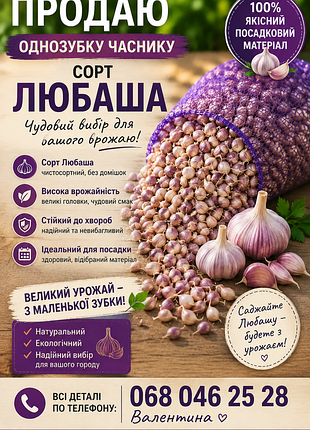 Продаю однозубку сорт любаша