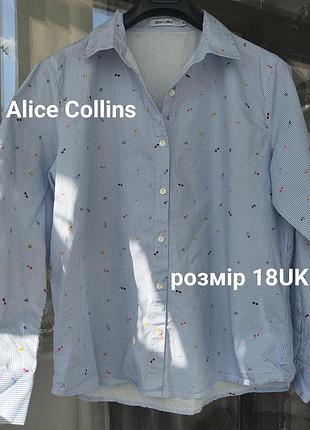 Блакитна бавовняна сорочка в смужку alice collins з принтом, 100% бавовна