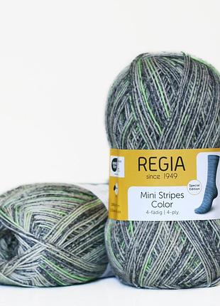 Regia color 100 г, 00496