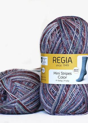 Regia color 100 г, 00495