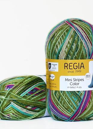 Regia color 100 г, 00485