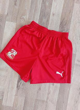 Шорты спортивные, puma.