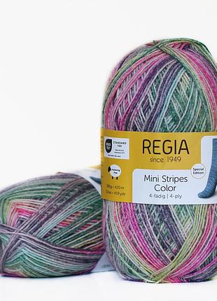 Regia color 100 г, 00479