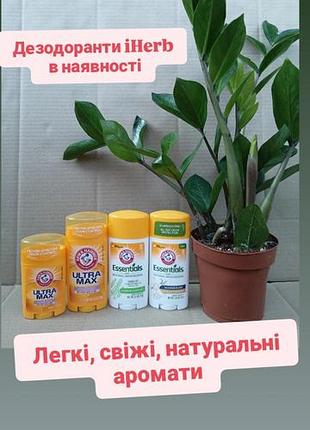 В наличии натуральный дезодорант лаванда розмарин arm jammer essential iherb айхерб