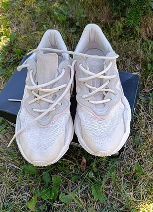 Кросівки жіночі adidas