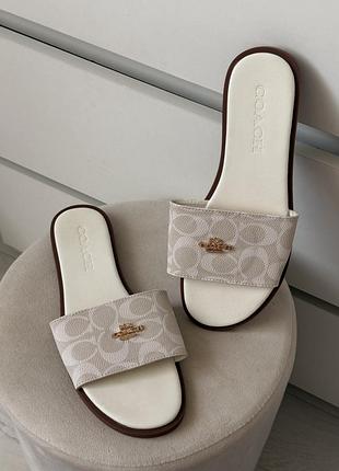 Тапки coach 39