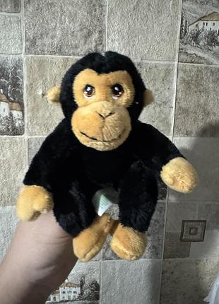 М'яка іграшка шимпанзе від бренду keel toys (зокрема серії keeleco або класичної колекції