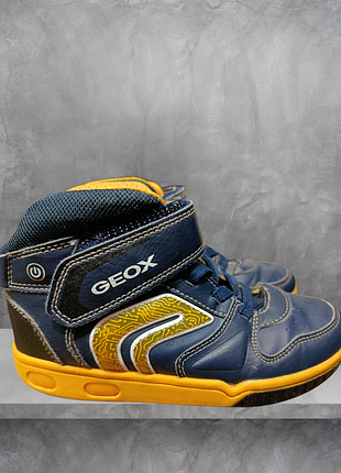 Хайтопи geox