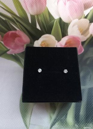 Сережки сережки