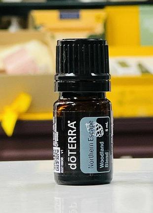 Арома-дубль, 2 шт, 5+5 мл, эфирное масло northern escape 👑 doterra