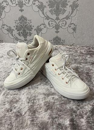 Кеди/кросівки skechers