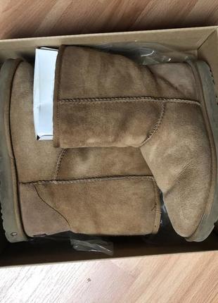 Сапоги uggs 2