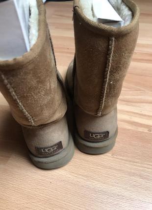 Сапоги uggs 4