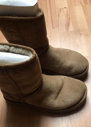 Сапоги uggs