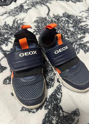 Кроссовки  geox