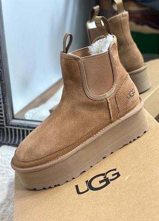 Сапоги ugg, скидка