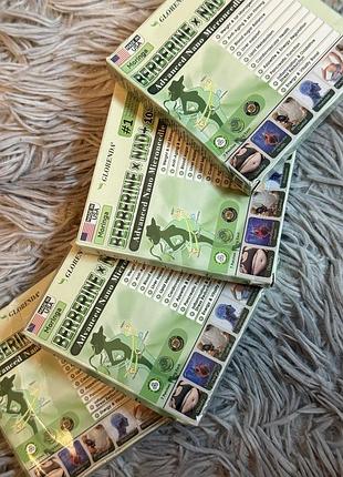 Патчі для схуднення glorenda berberine x nad+ з мікроголами, призначені для контролю ваги та метаболізму  • нові, запечатані. 4