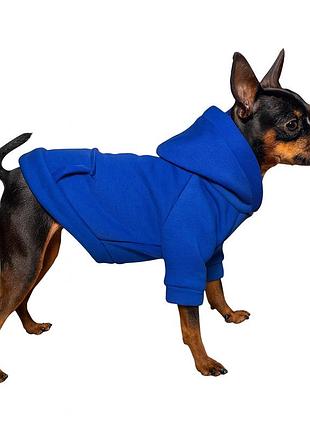 Кофта для собак diego hoodie утеплена електрик, розмір xs