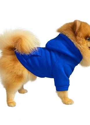 Кофта для котов и собак diego hoodie утепленная электрик, размер s
