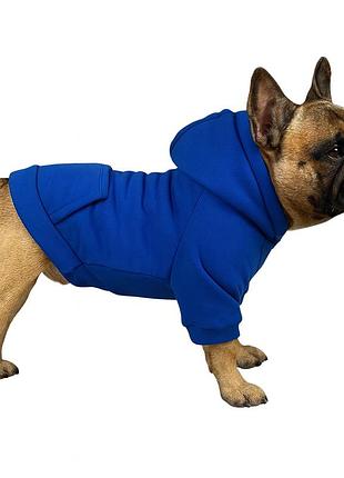 Кофта для котов и собак diego hoodie утепленная электрик, размер хxl