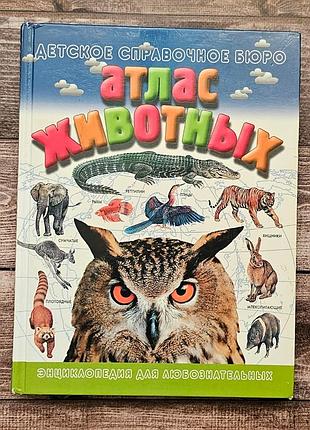Детская энциклопедия атлас животных, большая иллюстрированная книга