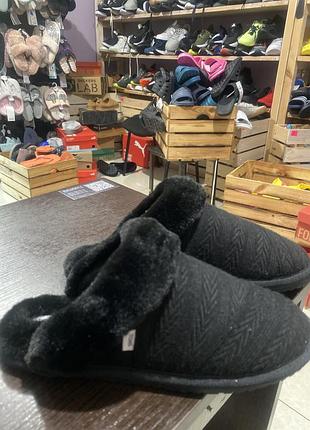 Домашні тапулі toms