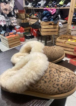 Shepherd тапулі з овчини