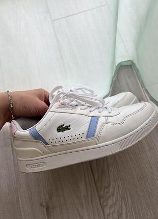 Кросівки lacoste