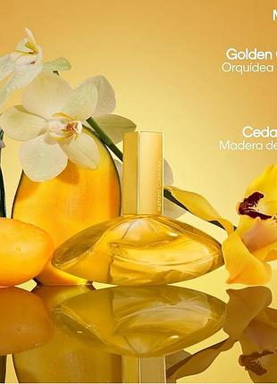 Calvin klein euphoria solar elixir 3