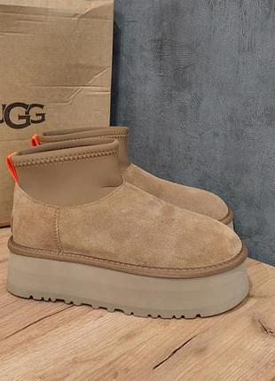 Сапоги женские ugg/угги/угги женккие натуральная замша и овчина!