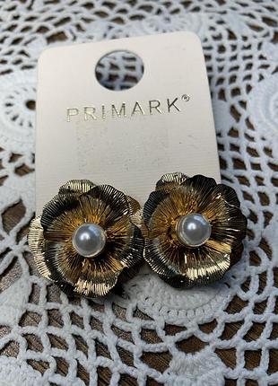 Великі сережки гвоздики