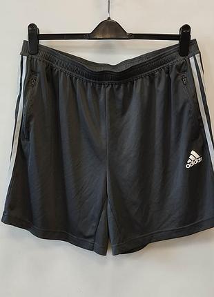 Мужские спортивные шорты adidas primeblue  (2xl)