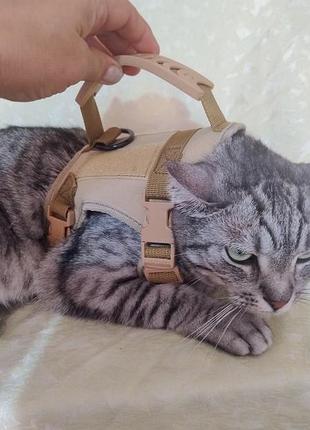 ♥️♥️♥️тактические шлейки для малышки собачки или котика♥️♥️♥️