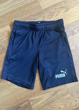 Шорти puma