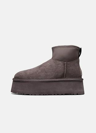 Mini dipper grey