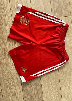 Adidas southampton training shorts football soccer boys