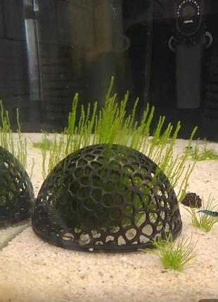 Декорація для акваріума 🌿🐠 будиночок для креветок, укриття для рибок, купол для моху та рослин, нерестовик, чорний, пластик