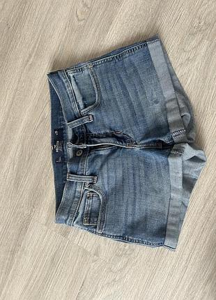 Шорти hollister