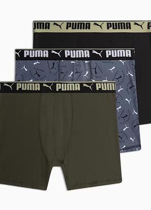 Боксери puma