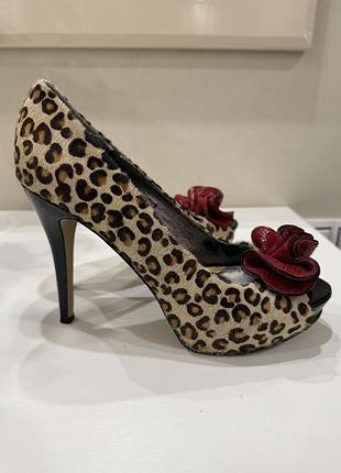 Жіночі туфлі steve madden