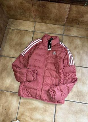 Женские микропуховики adidas оригинал пуховые новые адидас куртки лёгкие разбалты