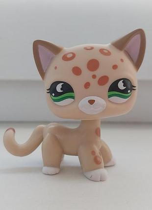 Литл петл шопп петшоп фигурка кошка стоячка игрушки детские фигурки lps littlest pet shop стоячки шп пет шопшопс пет шопсы петшопсы lsp