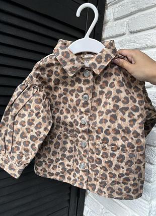 Дитяча джинсовка h&m