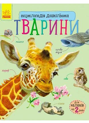 Енциклопедія дошкільника з тваринами с614005у – пізнавальна книга для малюків