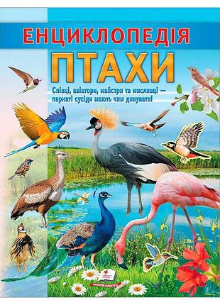 Детская энциклопедия птицы sb 9786178638344 с яркими иллюстрациями